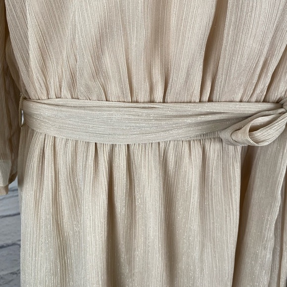 City Studio Champagne Cream Mid Length Boho Formal Dress Elastic Waist size 2X - Picture 5 of 16